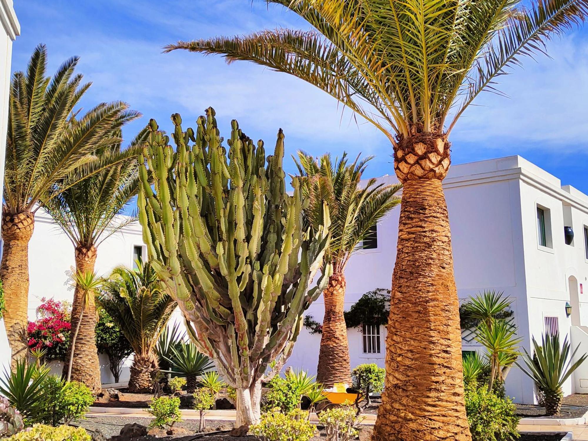 Flor De Las Dunas Pools Wifi Tennis Bikes For Free Коралео Екстериор снимка